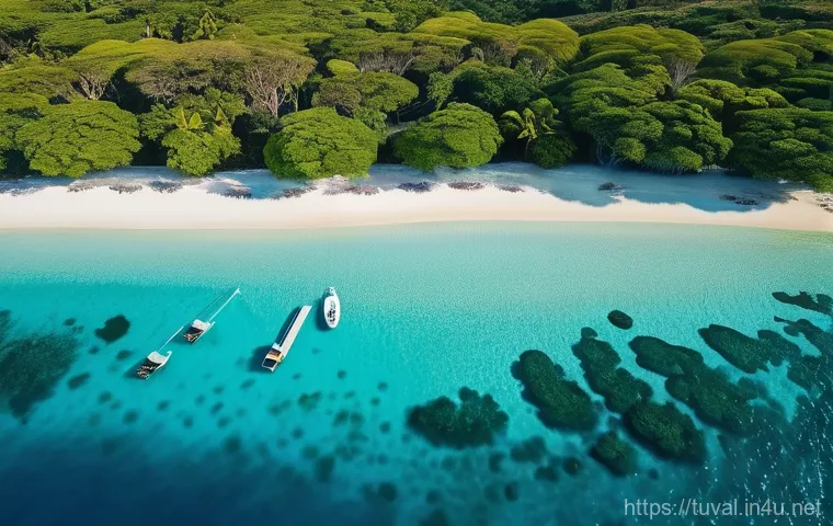 투발루 스쿠버다이빙 명소 - A dynamic landscape photograph capturing the essence of Vanuatu. In the foreground, a group of scuba... 투발루 스쿠버다이빙 명소 - A dynamic landscape photograph capturing the essence of Vanuatu. In the foreground, a group of scuba...