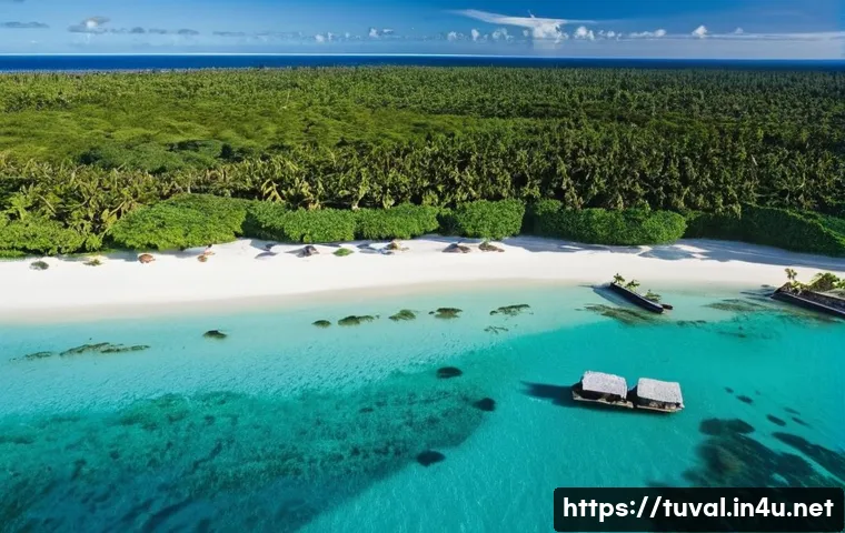 바다와 '.tv' 도메인으로 지켜가는 투발루 사람들의 놀라운 생계 전략 3 투발루 주요 산업과 생계 관련 이미지 1